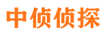 汾阳市调查公司